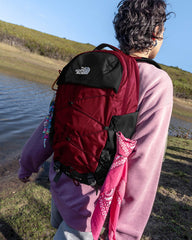 Borealis Backpack