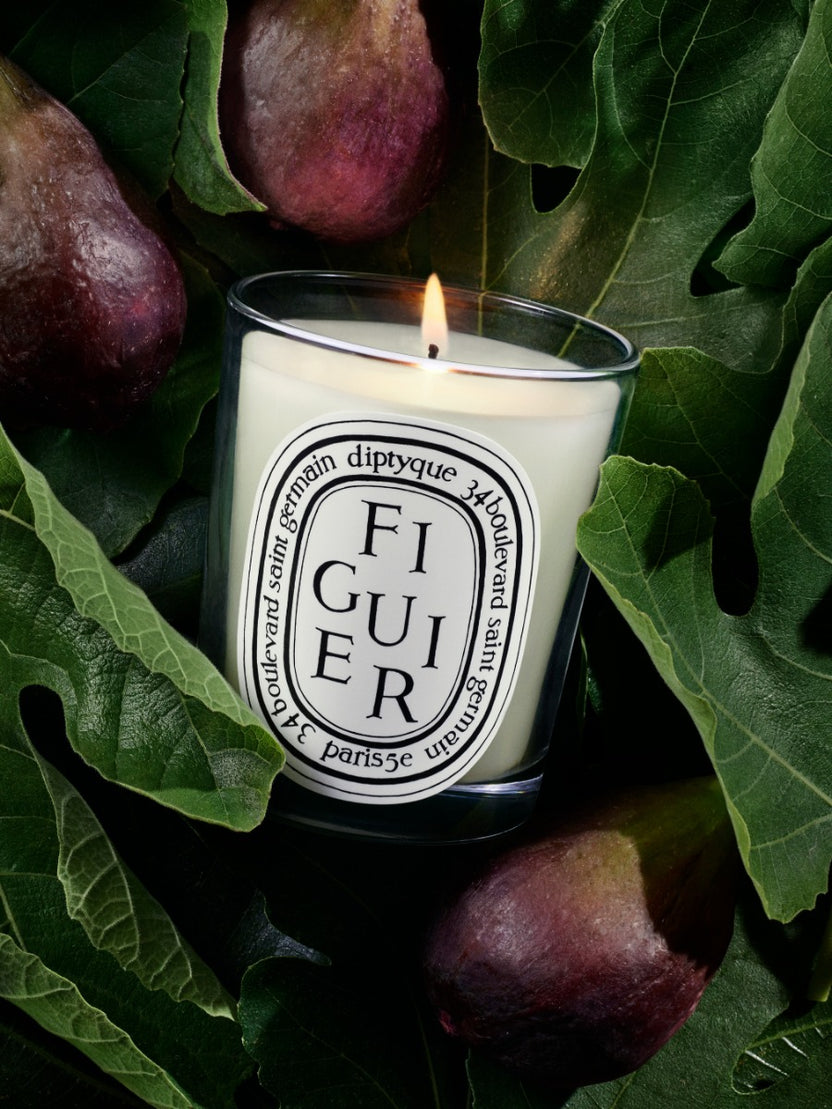 Figuier (Feigenbaum) – Duftkerze