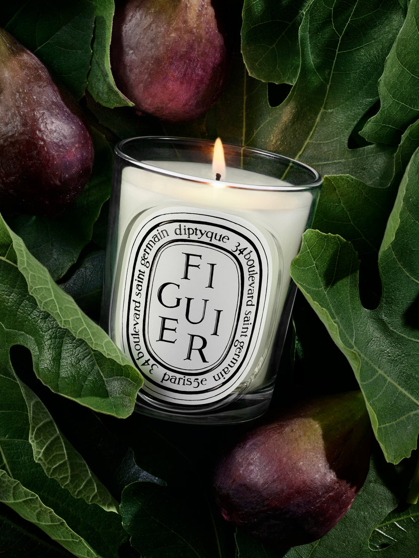 Figuier (Fig Tree) - Scented Candle